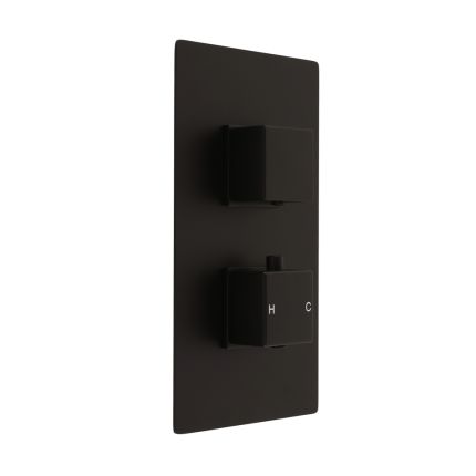 Milano Preto - Modern 2 Outlet Thermostatic Twin Diverter Shower Valve - Black
