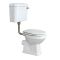 Milano Elizabeth - Low Level Toilet Flush Kit - Brushed Gold