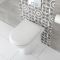 Milano Irwell - Modern Round Back to Wall Toilet with Soft Close Seat