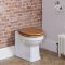 Milano Richmond - Traditional Back to Wall Toilet and Seat - Chrome