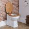 Milano Richmond - Traditional Back to Wall Toilet and Seat - Choice of Finish