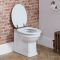 Milano Richmond - Traditional Comfort Height Back to Wall Toilet and White Seat - Brushed Gold