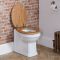 Milano Richmond - Traditional Comfort Height Back to Wall Toilet with Oak Seat - Choice of Finish