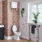 Milano Richmond - Traditional Comfort Height High Level Toilet with Cistern and White Seat - Brushed Gold