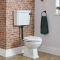 Milano Richmond - Traditional Low Level Toilet with Cistern and White Seat - Choice of Finish