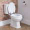 Milano Richmond - Traditional White Soft Close Toilet Seat with Black Hinges