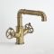 Milano Zandra - Industrial Style Mono Basin Mixer Tap - Brushed Gold