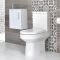 Milano Ballam - Close Coupled Toilet and 400mm Wall Hung Vanity Unit with Slimline Basin - Choice of Finish