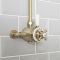 Milano Elizabeth - Brushed Gold Traditional Dual Exposed Thermostatic Shower with Grand Rigid Riser Rail (2 Outlet)