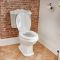 Milano Windsor - White Traditional Close Coupled Toilet with Cistern and Wooden Seat