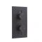 Milano Nero - Twin Thermostatic Shower Valve - One Outlet - Black