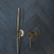Milano Clarus - Manual Shower Valve with Hand Shower - Brushed Brass