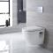 Milano Newby - White Modern Wall Hung Toilet with Tall Wall Frame - Choice of Flush Plate