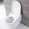 Milano Luxus - Wall Hung Japanese Bidet Toilet with Tall Wall Frame - Choice of Flush Plate