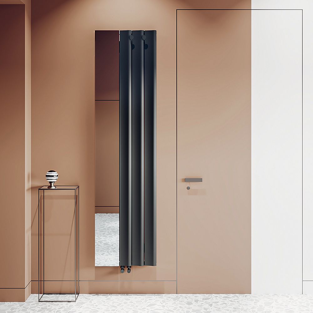Carisa Entree - Aluminium Vertical Designer Radiator with Mirror - Choice of Finish