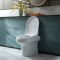 Milano Ballam - Modern Oval Back to Wall Toilet with Soft Close Seat