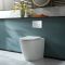 Milano Brunswick - White Modern Back To Wall Toilet with Soft Close Seat