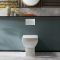 Milano Dalton - White Modern Back To Wall Toilet with Soft Close Seat