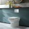 Milano Dalton - White Modern Back To Wall Toilet with Soft Close Seat