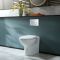 Milano Newby - White Modern Back To Wall Toilet with Soft Close Seat