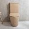 Milano Elements - Modern Round Close Coupled Toilet with Soft Close Seat - Choice of Finish