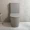 Milano Elements - Modern Round Close Coupled Toilet with Soft Close Seat - Choice of Finish