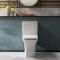 Milano Avenham - Modern Close Coupled Toilet with Soft Close Seat - Choice of Flush Button Finish