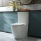 Milano Brunswick - Modern Close Coupled Toilet with Soft Close Seat and Chrome Flush Button