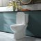 Milano Hatton - Modern Close Coupled Toilet with Soft Close Seat and Black Flush Button