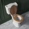 Milano Towneley - Traditional Close Coupled Toilet with Cistern and Wooden Seat - Choice of Flush Lever