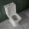 Milano Sandringham - Traditional Close Coupled Toilet with Cistern, Soft Close Seat and Black Flush Button