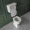 Milano Richmond - Traditional Comfort Height Low Level Toilet with Cistern and White Seat - Choice of Finish