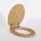 Milano Richmond - Traditional Oak Soft Close Toilet Seat with Brushed Gold Hinges