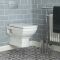 Milano Sandringham - Traditional Wall Hung Toilet with Soft Close Seat