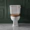 Milano Richmond - Toilet Pan and Cistern - Choice of Seat