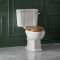 Milano Richmond - Toilet Pan and Cistern - Choice of Seat