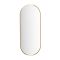 Milano Gianna - Brushed Brass Oval Wall Hung Mirror - 1000mm x 400mm