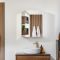 Milano Raya - Modern Mirrored Cabinet - 600mm x 750mm