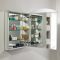 Milano Raya - Modern Mirrored Cabinet - 600mm x 750mm