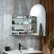Milano Ava - Modern Arched Mirrored Cabinet - 500mm x 750mm