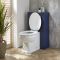 Milano Aston - Traditional 500mm WC Unit with Richmond Back to Wall Toilet - Choice of Finish and Seat