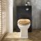Milano Aston - Traditional 500mm WC Unit with Richmond Back to Wall Toilet - Choice of Finish and Seat