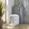 Milano Aston - Traditional 500mm WC Unit with Richmond Back to Wall Toilet - Choice of Finish and Seat