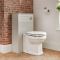 Milano Thornton - Smoke Grey Traditional 500mm WC Unit (Excluding Pan)