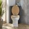 Milano Aston - Traditional Corner WC Unit with Richmond Back to Wall Toilet - Choice of Finish and Seat