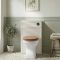 Milano Thornton - Traditional WC Unit with Richmond Back to Wall Toilet - Choice of Finish and Seat
