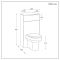 Milano Lurus - Modern Corner WC Unit with Ballam Back to Wall Toilet - Choice of Finish