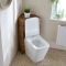 Milano Lurus - Modern Corner WC Unit - Choice of finish and Toilet Pan