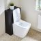 Milano Lurus - Modern 500mm WC Unit with Elswick Toilet - Choice of Finish