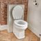 Milano Thornton - Smoke Grey Traditional 500mm WC Unit with Richmond Toilet